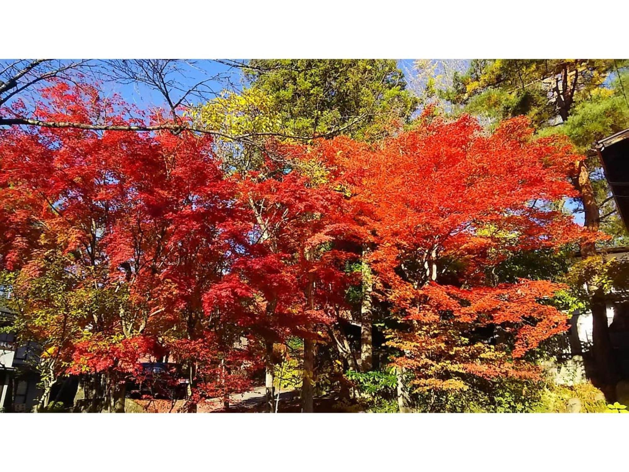 Tomareru Sento Taka No Yu - Vacation Stay 00556V Takayama  Buitenkant foto